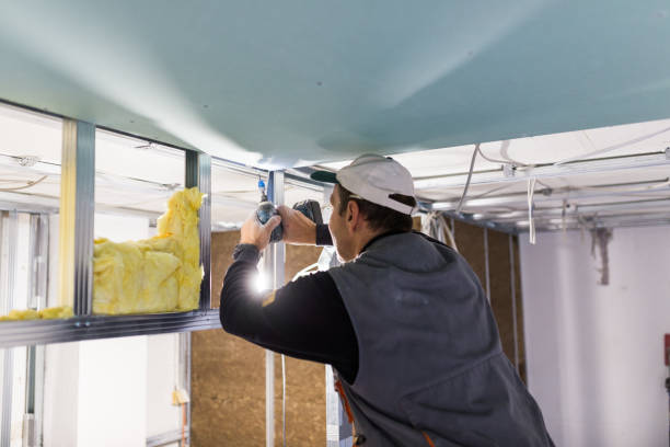 Best Insulation Maintenance and Repair in Citrus, CA