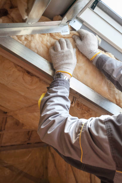 Types of Insulation We Offer in Citrus, CA