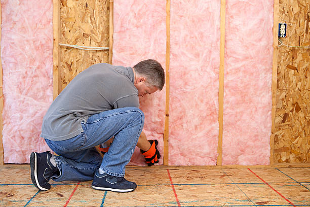 Professional Insulation Contractor in Citrus, CA